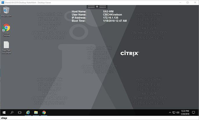 Citrix 虛擬桌面